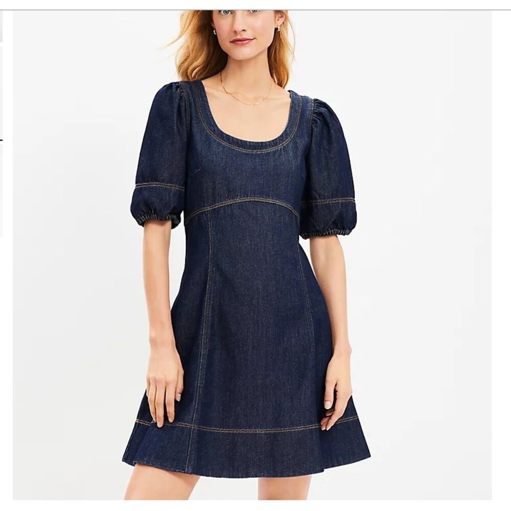 Loft Denim Puff Sleeve Swing Dress 14
